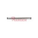MUELLE AEG M150 POINT PLATA