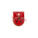 EMBLEMA METALICO ESPECIALISTA ARMAMENTO