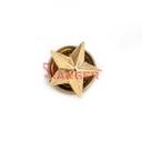 ESTRELLA METALICA 5 PUNTAS DORADA
