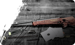 Accesorios Airgun
